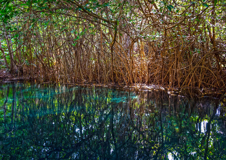 How to Spend 2 Days in Playa del Carmen